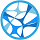 Logo Carely